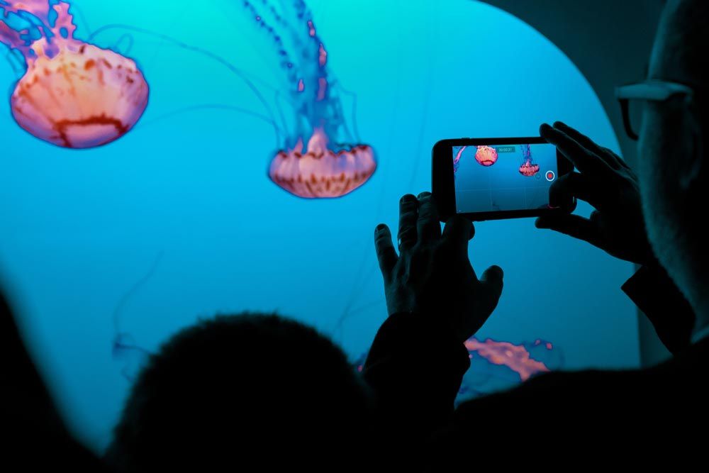 Monterey Bay Aquarium
