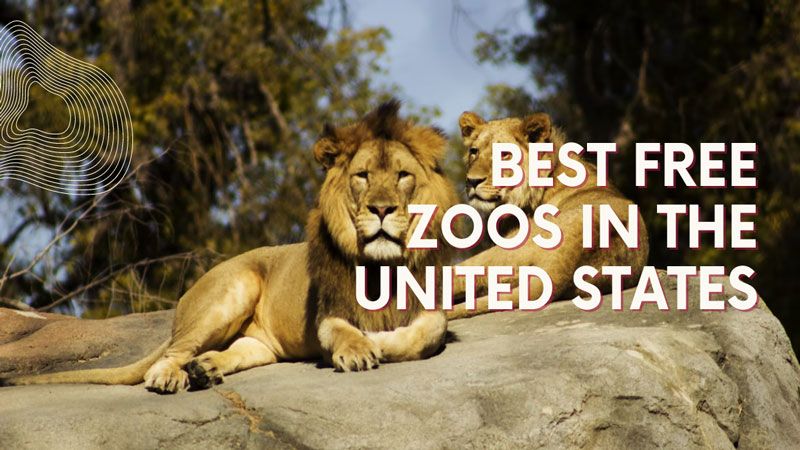 Best Free Zoos in the United States